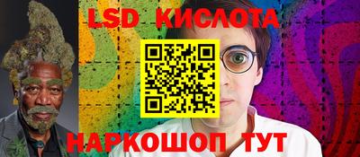крисы Братск