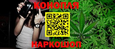 стаф Белореченск