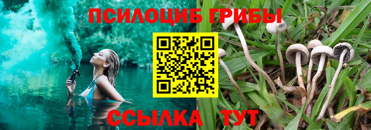 Псилоцибиновые грибы мицелий  Вход с VPN  Псилоцибиновые грибы мицелий  Белгород 